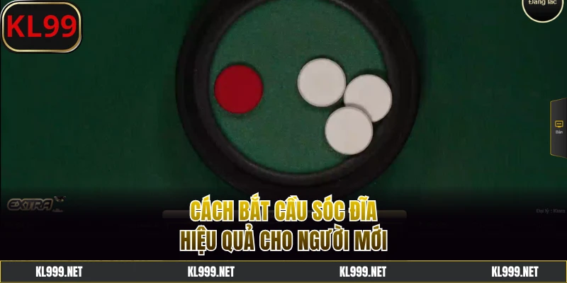 Cách Bắt Cầu Sóc Đĩa Giúp Người Chơi Làm Giàu Nhanh